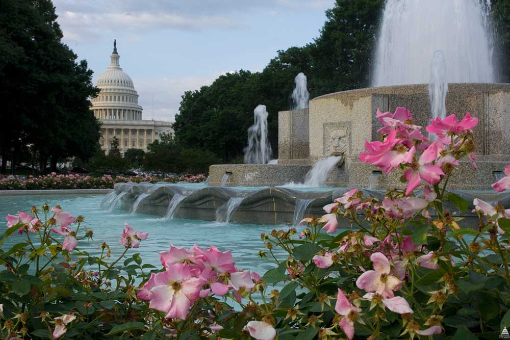 Capitol Hill